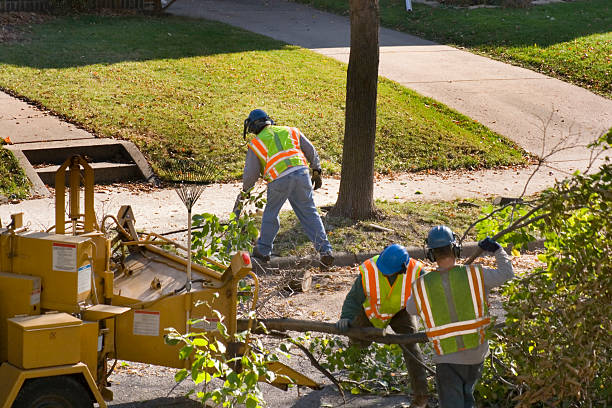 Mulching Services in Garden Acres, CA